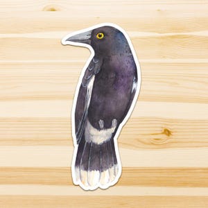 Op de afbeelding: Een gestanste sticker met een aquarelillustratie van een zwarte vogel met een geel oog, een donkere snavel en witte markeringen op de vleugels en staartveren. De vogel is in profiel naar links afgebeeld met een witte rand eromheen.