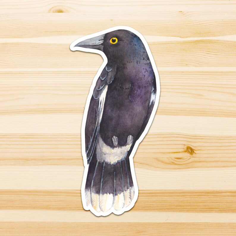 Op de afbeelding: Een gestanste sticker met een aquarelillustratie van een zwarte vogel met een geel oog, een donkere snavel en witte markeringen op de vleugels en staartveren. De vogel is in profiel naar links afgebeeld met een witte rand eromheen.
