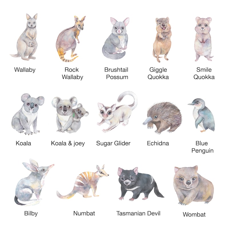 May include: Watercolor illustrations of Australian animals, including a wallaby, rock wallaby, brushtail possum, giggle quokka, smile quokka, koala, koala and joey, sugar glider, echidna, blue penguin, bilby, numbat, Tasmanian devil, and wombat.