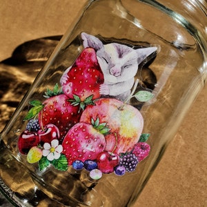 Adesivo transparente e fofo, adesivos de animais australianos e vegetais, planador de açúcar, quokka, coala, gambá, pássaro, wombat e raposa voadora, adesivo para laptop