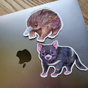 May include: Two watercolor animal stickers on a silver laptop. The first sticker is of a brown echidna with a long snout. The second sticker is of a black Tasmanian devil with white markings.