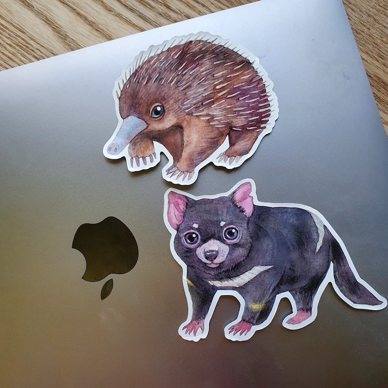 May include: Two watercolor animal stickers on a silver laptop. The first sticker is of a brown echidna with a long snout. The second sticker is of a black Tasmanian devil with white markings.