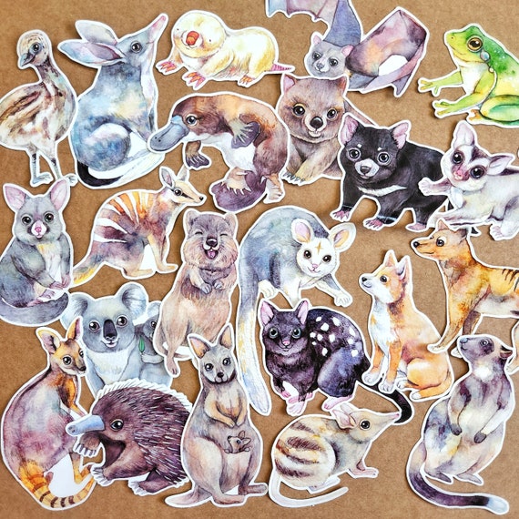 Watercolour animal sticker set, hand drawn Aussie wildlife, vinyl stickers, Australian animals, cute decals, gift for nature lovers
