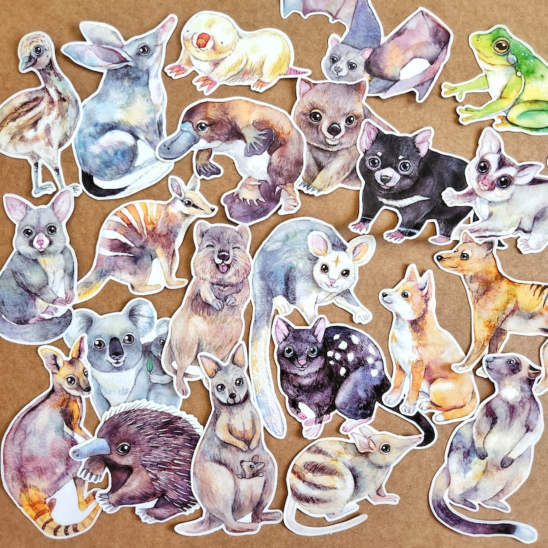 May include: A collection of colorful animal illustrations, including a platypus, a kangaroo, a wombat, a koala, a quoll, a bandicoot, a possum, a echidna, a sugar glider, a Tasmanian devil, a dingo, a kookaburra, a frog, and a butterfly. The illustrations are painted in a whimsical style with bright colors and intricate details.