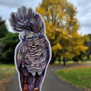 Op de afbeelding: Een gestanste sticker met een aquarelillustratie van een zwarte kaketoe met een opvallende kuif, donkergrijs en paars verenkleed, gele stippen op de kop en vleugels, en oranje gestreepte staartveren, afgebeeld met een witte rand.