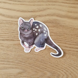 May include: A sticker of a black and white spotted quoll, a marsupial native to Australia. The quoll is depicted in a cartoon style with large eyes and a friendly expression.