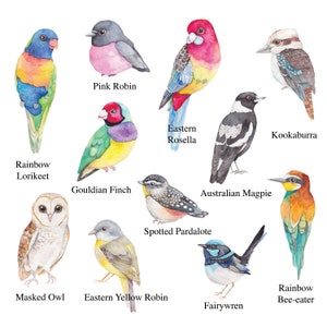 Op de afbeelding: Een aquarelillustratie met tien Australische vogels, gelabeld met hun namen: Rainbow Lorikeet, Pink Robin, Eastern Rosella, Kookaburra, Gouldian Finch, Australian Magpie, Spotted Pardalote, Masked Owl, Eastern Yellow Robin en Fairywren.