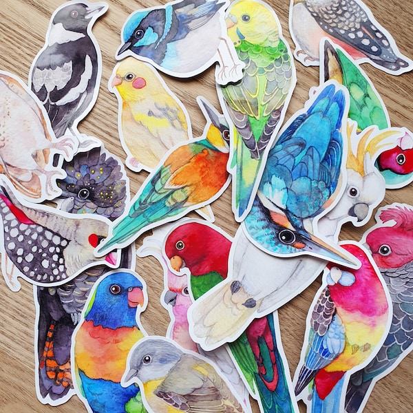 Sticker, Australian bird vinyl sticker from original watercolour painting, waterproof sticker, cute laptop decor, gift for bird lover