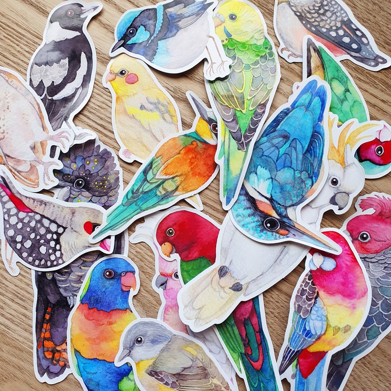 Op de afbeelding: Een verzameling gestanste stickers met aquarelillustraties van diverse vogelsoorten, waaronder papegaaien, kaketoes en zangvogels in levendige kleuren zoals blauw, geel, rood en groen, gerangschikt in een dichte, overlappende groep.