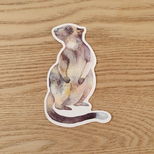 May include: A watercolor illustration of a brown and white quokka with a long tail, standing on its hind legs with its paws together. The quokka is looking to the left of the image.