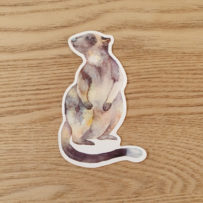 May include: A watercolor illustration of a brown and white quokka with a long tail, standing on its hind legs with its paws together. The quokka is looking to the left of the image.