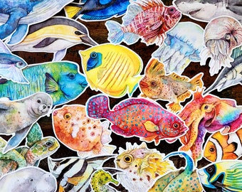 Ocean animal sticker set. Waterproof vinyl sticker, sea life decals, whale dolphin turtle, marine wildlife art, beach lover gift, nature art