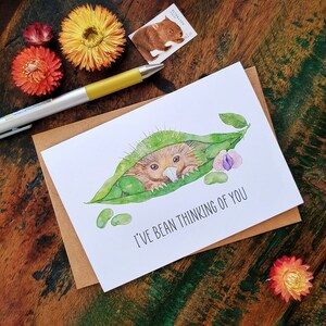 Cartão de amor, cartão de felicitações em aquarela Echidna, estou pensando em você, cartão ecológico, impressão de cartão de arte ilustrativa, cartão de saudades, amizade