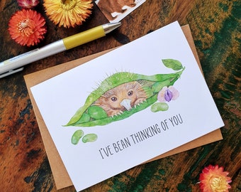 Love card, Watercolour Echidna Greeting card,  I've bean thinking of you, Eco Card, Illustration art card print, Miss you card, friendship