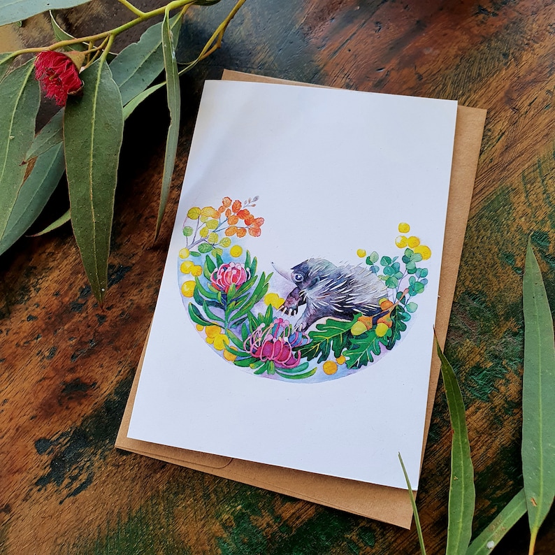 May include: A watercolor illustration of an echidna surrounded by yellow, green, and pink flowers. The echidna is in a curled up position with its back facing the viewer. The illustration is on a white card with a brown envelope.