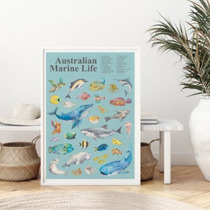 Australian Marine Life Large A2 Art Poster, Ocean Poster, Wall Art, Learning poster, baby room decor, fish poster, gift for ocean lover