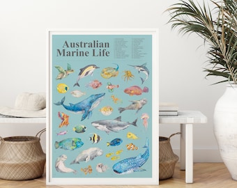 Puede incluir: Un póster ilustrado colorido que presenta una variedad de vida marina australiana, incluyendo una ballena, un tiburón, una tortuga marina y peces. El póster se titula "Australian Marine Life" e incluye una lista numerada de las diferentes especies.