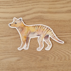 May include: Watercolor illustration of a Tasmanian tiger, a marsupial carnivore native to Tasmania, Australia. The animal is depicted in a light brown and yellow color with black stripes. The illustration is on a white background.