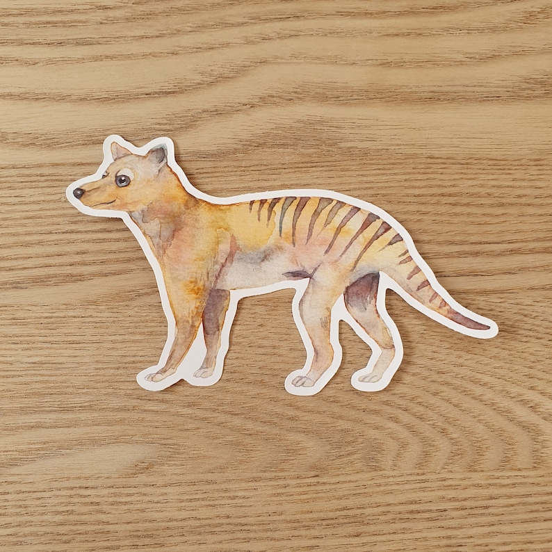 May include: Watercolor illustration of a Tasmanian tiger, a marsupial carnivore native to Tasmania, Australia. The animal is depicted in a light brown and yellow color with black stripes. The illustration is on a white background.