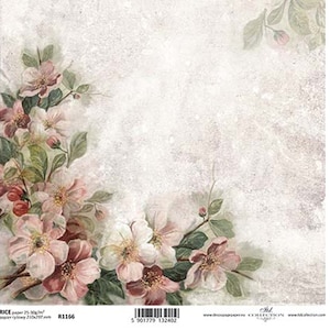 Carta di riso Decoupage A4 R 1166