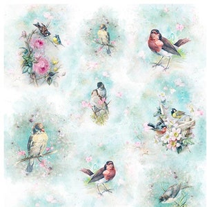 Op de afbeelding: Een vintage stijl papier met een herhalend patroon van vogels en bloemen op een lichtblauwe achtergrond. De vogels zijn in verschillende poses, sommige zitten op takken, andere vliegen. De bloemen zijn roze en wit en zijn verspreid over het ontwerp.