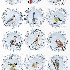 Papel de arroz para decoupage A4 R 1968
