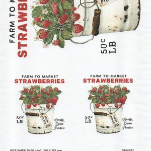 Decoupage in carta di riso A4 D 037