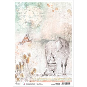 Rice Paper Decoupage A4 CBRP 194