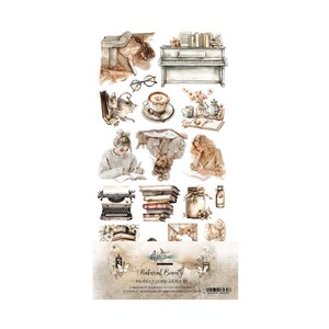 Scrapbook paper pad  extras set Natural Beauty