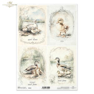 Rice Paper Decoupage A4 R 2564