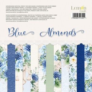 Scrapbook paper pad 12 x 12 Blue Almonds
