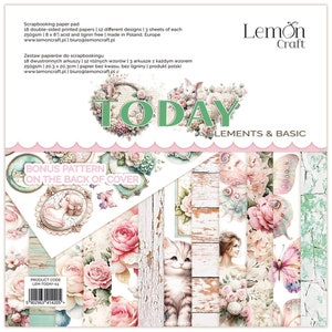 Scrapbook paper pad 8x8 Today Elements