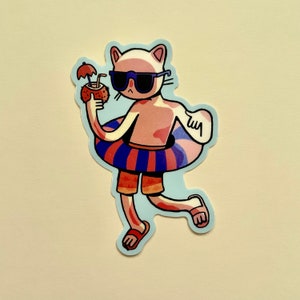 summer swimmin&#39; cat