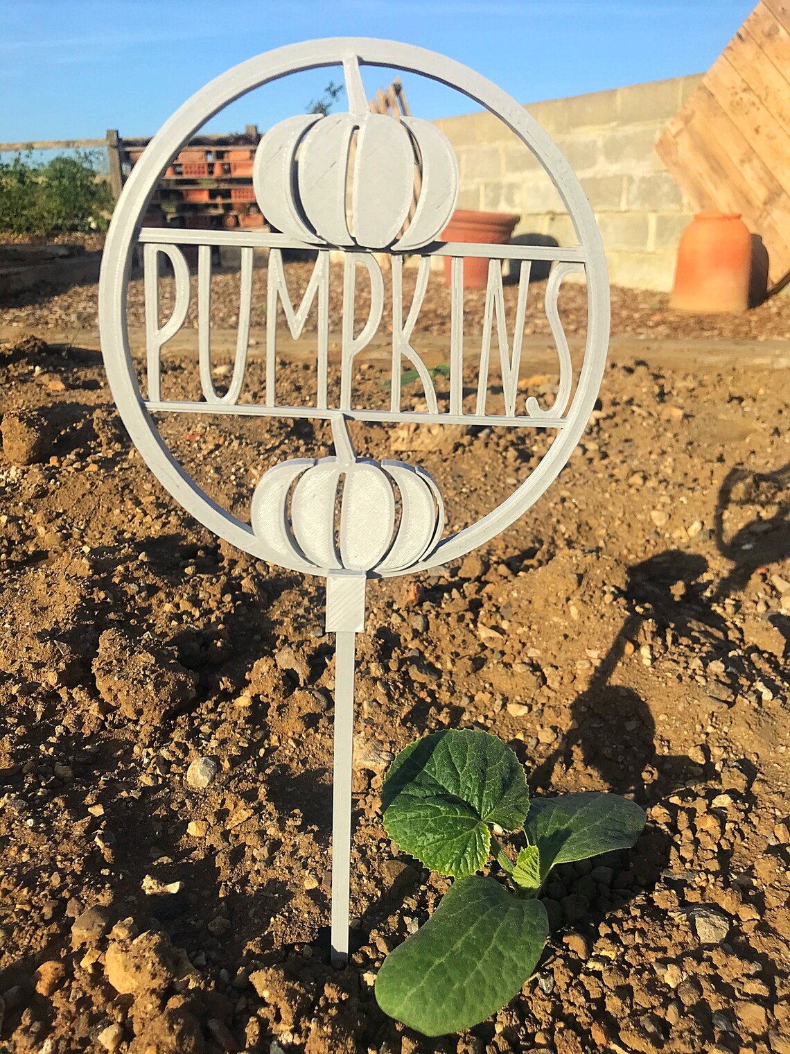 Vegetable Plot Signs Allotment Signs Seed Markers Etsy