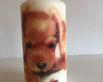 Vela de cachorro y mariquita