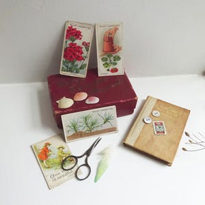 Può includere: Una scatola rossa con un'etichetta bianca che dice "Wills's Cigarettes" e una collezione di carte da sigarette vintage con illustrazioni di piante. Le carte sono della serie "Wills's Cigarettes". Ci sono anche conchiglie, un piccolo libro, un paio di forbici e una piuma su una superficie bianca.