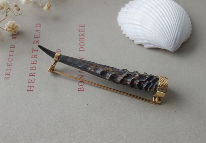 pin /& safety clip ~ vintage jewellery ~ gamekeeper gift ~ genuine antler Vintage brooch ~ tiny deer antler brooch with rolled gold setting