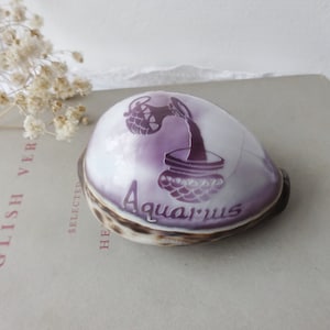Vintage carved tiger cowrie shell ~ Aquarius Jan 20 - Feb 18 ~ spotted cowrie specimen ~ coastal decor ~ astrology ~ hand carved seashell
