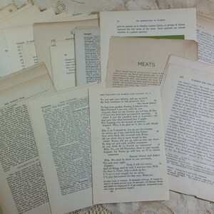 Variety Pack 100 Vintage Book Pages for Journal Ephemera Making