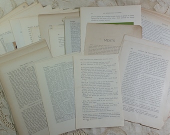 Variety Pack 100 Vintage Book Pages for Journal Ephemera Making