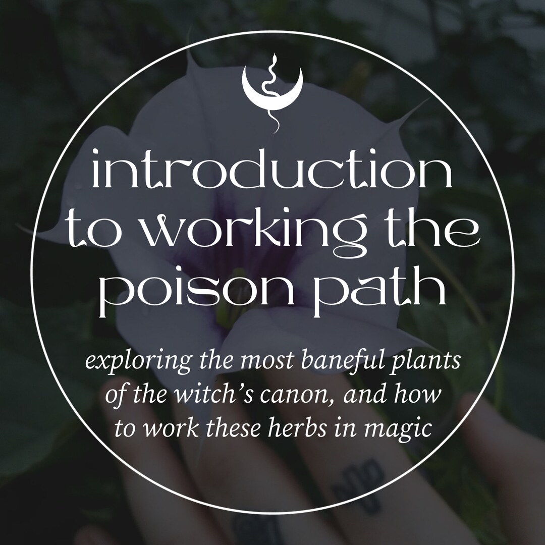 Introduction to Working the Poison Path / Digital Lecture - Etsy Australia