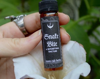 Snake Bite Tincture / a detoxifying blend, for stomach bugs, fighting infection, and post-revelry support