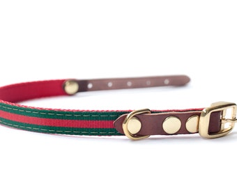 gucci puppy collar