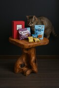 Rustic Cedar Root Flower Stand Stool – 19.5" H Tree Stump Side Table – Handcrafted Natural Wood Décor – Unique Rustic Home Accent