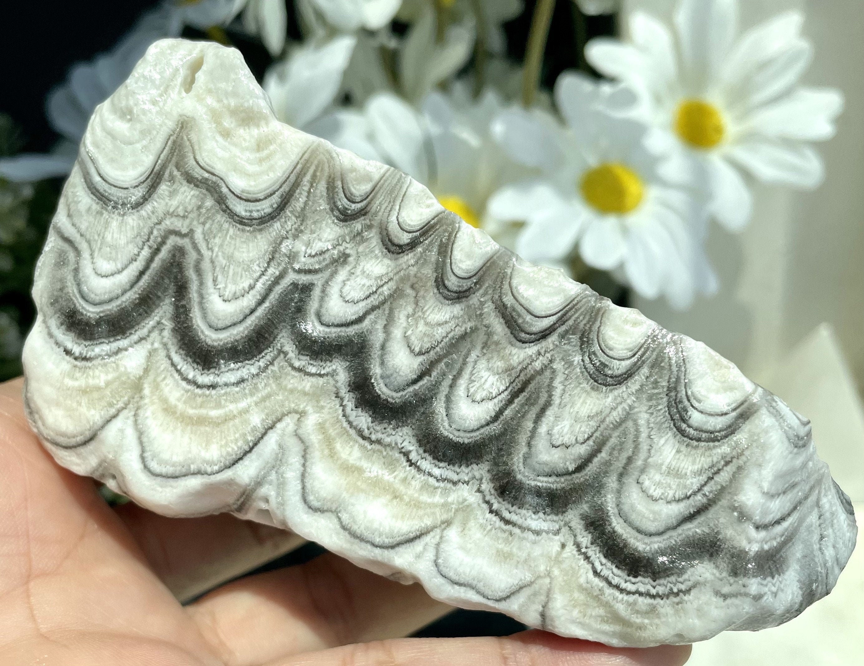 Natürliche riesige 4 Zebra Onyx gebändert Calcit Achat Etsy