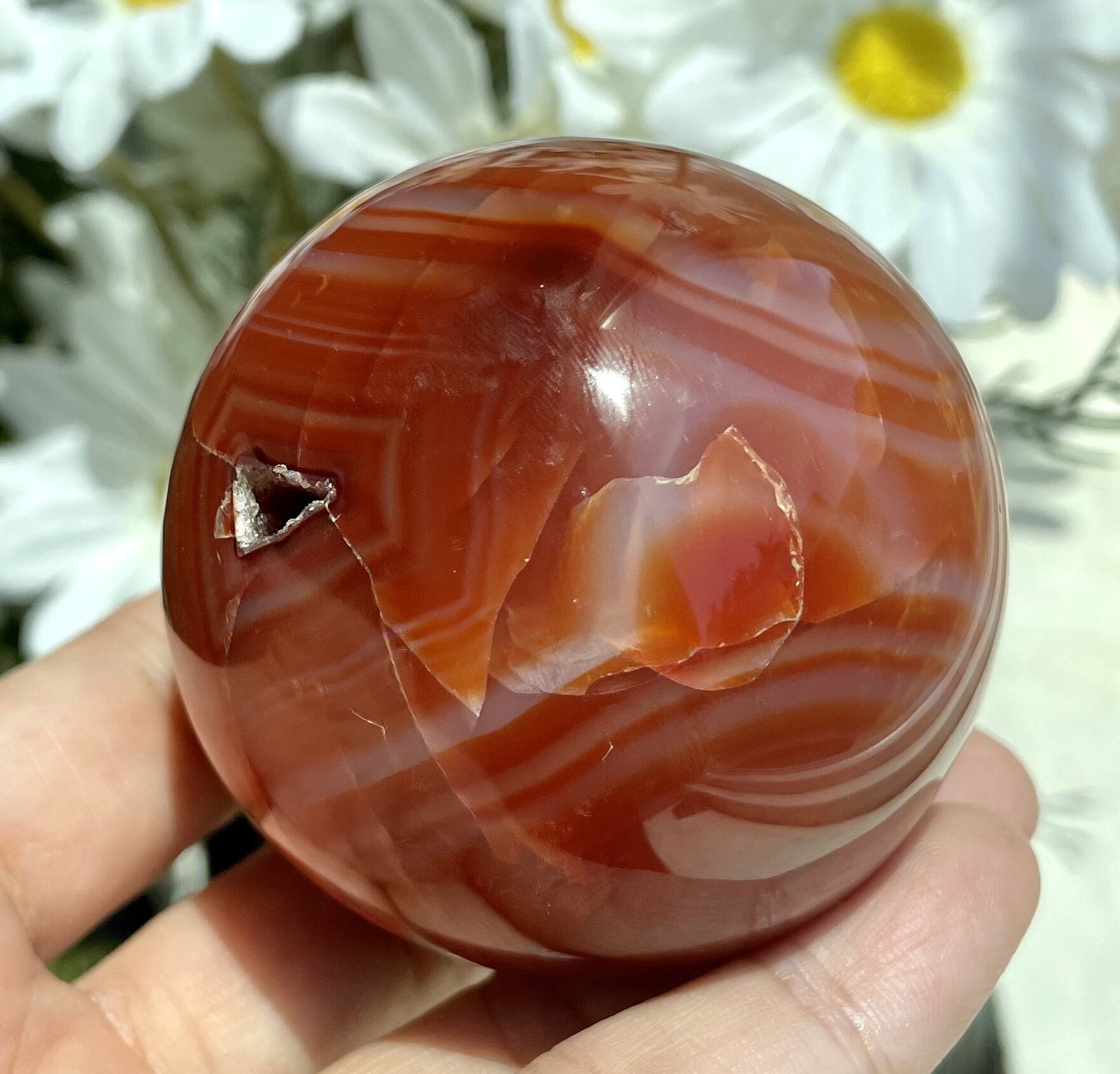 AMAZING Gorgeous// Natural Red Carnelian Agate Geode | Etsy