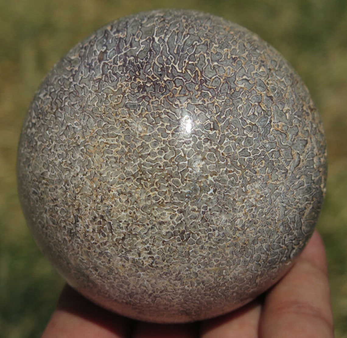 dino pets sphere
