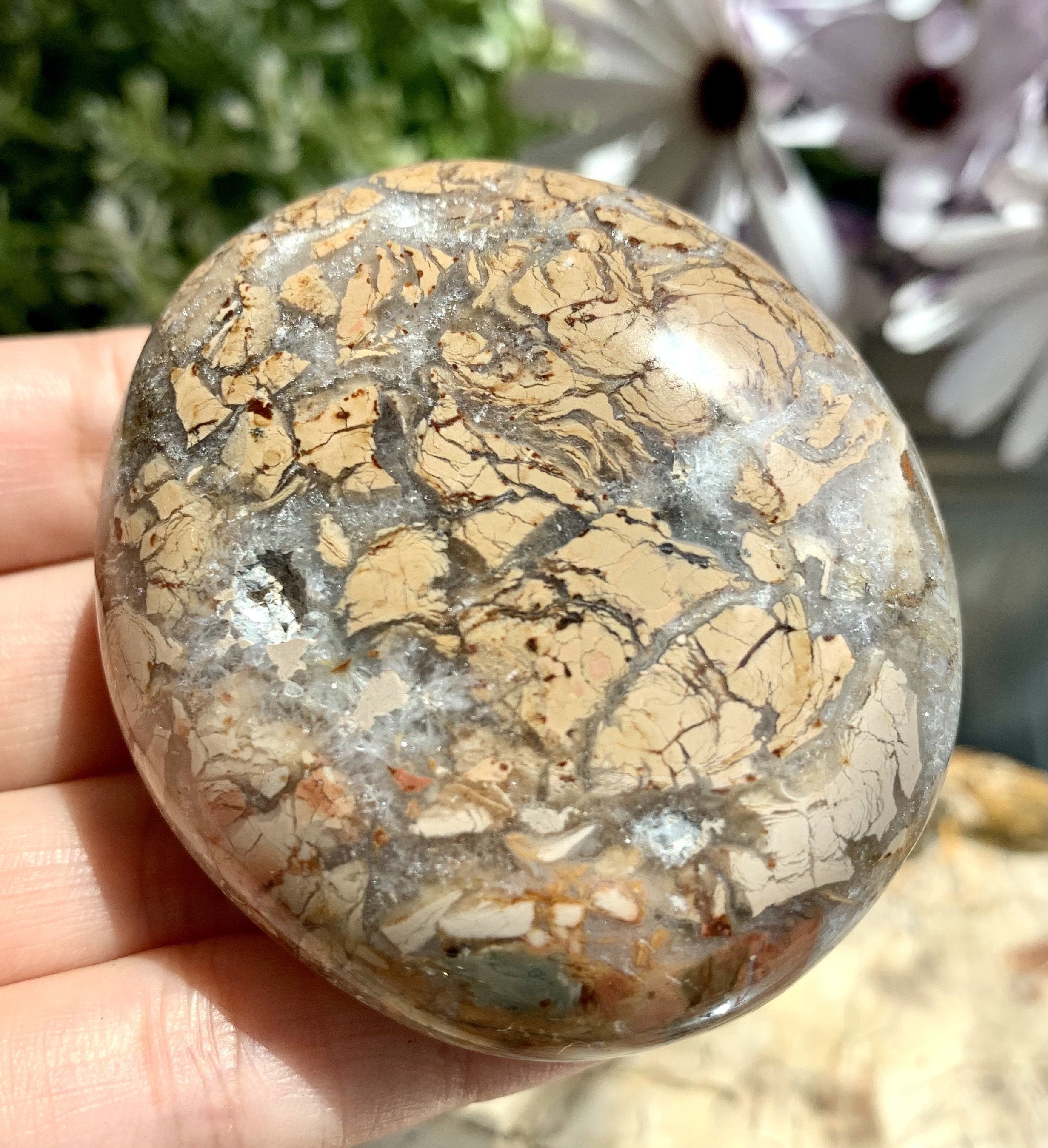 A Quality 100 Natural Ibis Jasper Jasper Crystal Geode Etsy