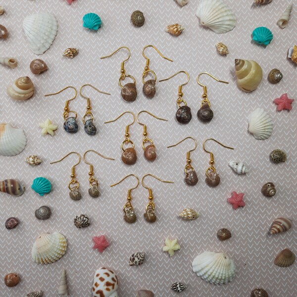 Tiny Snail Shells Earrings | Hypoallergenic Hawaiian Jewelry | Tiny Shell Earrings | Small Seashell Jewelry