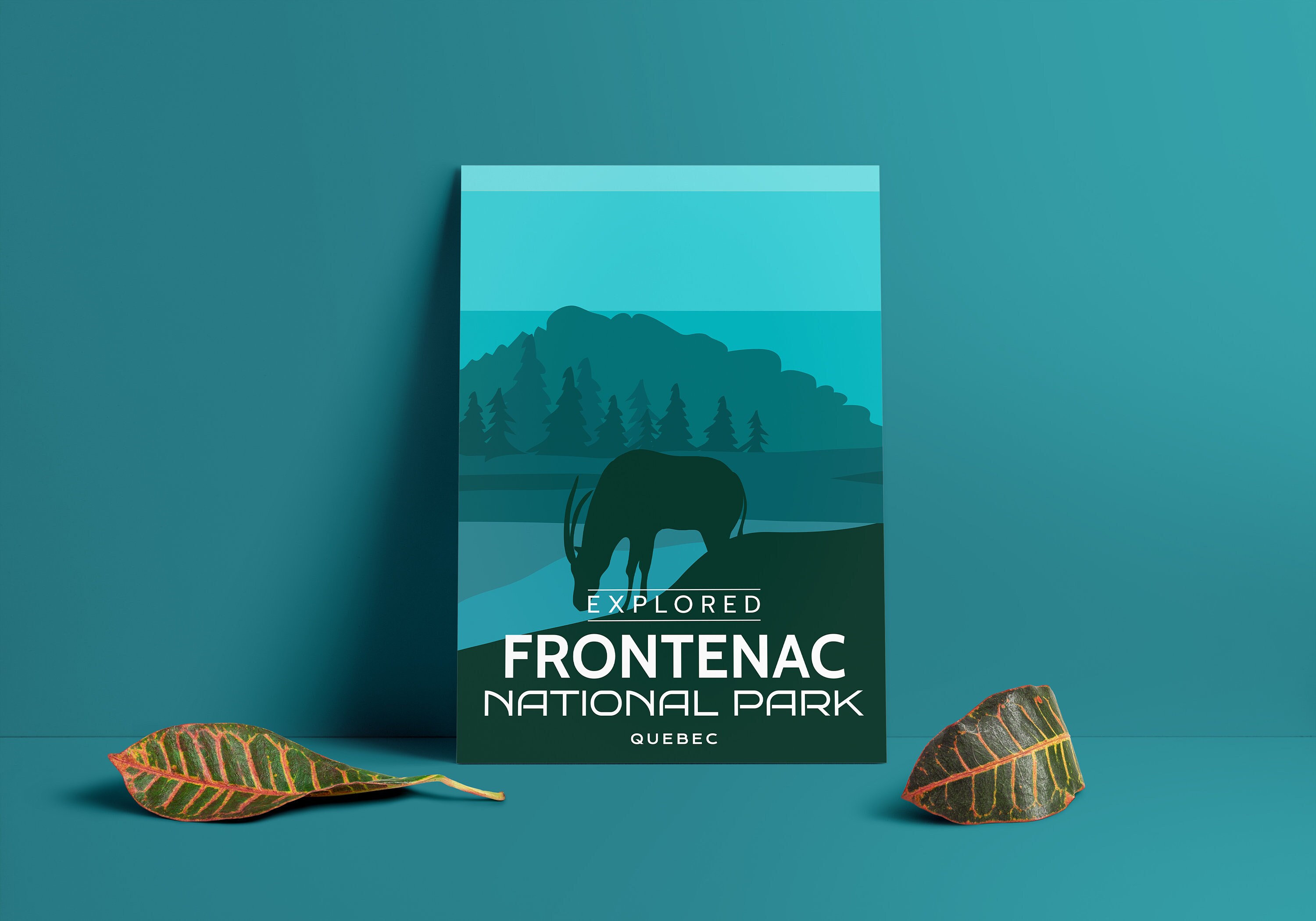 Frontenac Showtimes - 17mtj0x